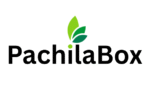pachilabox logo